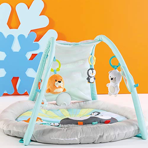 bright starts arctic glow baby gym