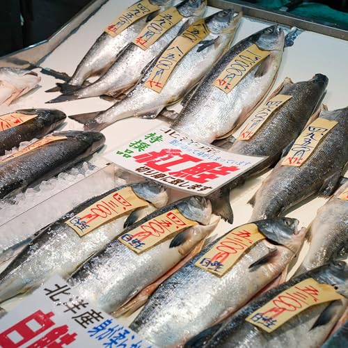 Concerns grow within Japan's aquaculture industry under strained relations with China