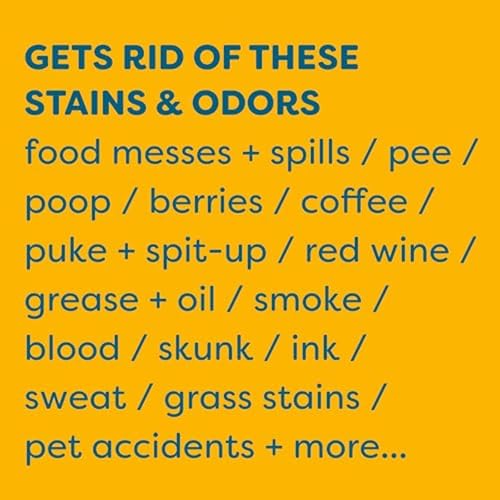 Image of KIDS 'N' PETS Stain & Odor Remover for Carpet, Fabric & Furniture, 32 oz | Dog Pee & Cat Urine