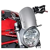 ducati monster windschild original  Barracuda Windschild Alu Silber für Ducati Monster 796 Monster 797 ME