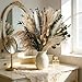 Hapart Dried Pampass Grass Boho Decor All-Natural Dried Plants with Bunny Tails Eucalyptus Leaves for Vase Livingroom Green Centerpieces for Tables