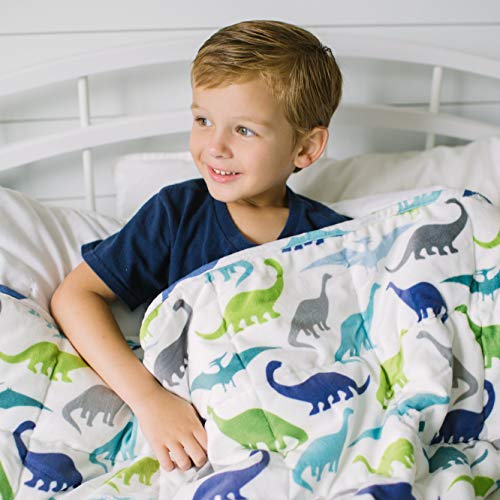 HomeSmart Products Weighted Blanket for Kids and Toddlers - 5lbs 40x60 - Dinosaur