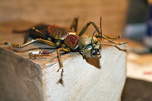 Toys in the Attic - Abenteuer auf dem Dachboden