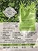 VitaminSea Organic Bladderwrack Flakes Seaweed - 4 oz / 112 G Atlantic Maine Coast - USDA and Vegan Certified - Kosher - Perfect For Keto or Paleo Diets - Sun Dried - Raw - Wild Sea Vegetables (BF4)