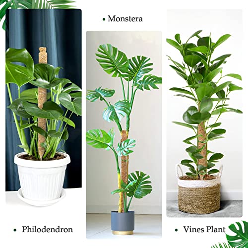 Lmaive Moss Pole, Moss Pole For Plants Monstera, 2Pcs 25'' Bendable Monstera Moss Pole, Moss Poles For Climbing Plants, Plant Stakes For Indoor Plants, Coco Coir Monstera Pole Plant Pole For Plants #TOP5