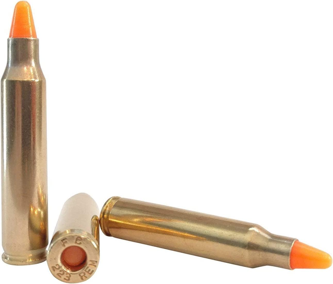 .223 Cal Training Dummy Rounds