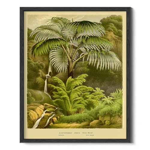 Affiche d'arbres et illustration botanique Wallbuddy tableau éducation scientifique