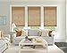 LazBlinds No Tools No Drill Cordless Bamboo Roman Shades, Light Filtering Window Treatment, Roll Up Bamboo Blinds for Windows 30'' W x 64'' H, Natural 306