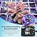 PakCan Premium Coral Fragging Kit - Complete Coral Propagation and Fragging Set