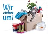 Umzugspostkarte, Doppelkarte mit Kuvert, Karte, Grußkarte, 