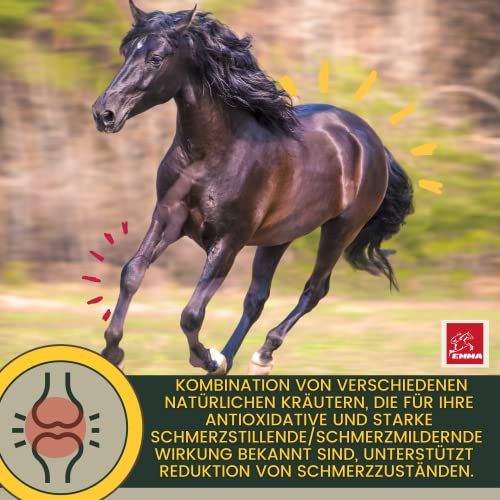 EMMA MSM Pferd Equi P 2x30ml Gelenk Booster für Pferde mit Glucosamin Chondroitin MSM Schwefel Vitamin C Bierhefe Pferd Hochdosiert & Gelenkkräuter Kurkuma Spirulina Weidenrinde Weihrauch für Gelenke
