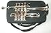 Queen Brass Bb Piccolo Trumpet Chrome Finish with Mouthpiece Practice Mute Cleaning Set and Hard Case for Beginners Students and Holiday Gift Idea