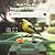 Smart Bird Feeder with Camera Solar Powered Outdoor - 2K HD Live Video, AI Bird ID, Squirrel-Proof, Instant Alerts & IP65 Weatherproof Outside, Great Gift for Familys & Friends