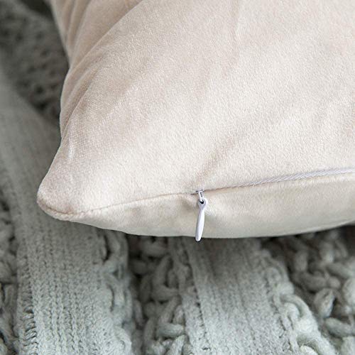 Image of Modern Homes (Pack of 2) Velvet Cushion Covers Plain Sofa Cushion Covers Pillow Covers for Living Room and Bedroom (16x16 inches, Cream)