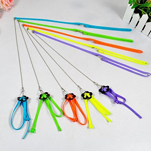 UEB 1pcs Kit Pettorina e Guinzaglio Regolabile per...