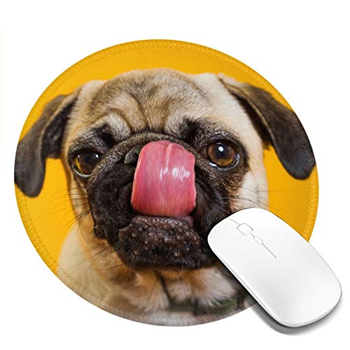 DADABULIU }EXpbh ~` `   F ʐ^ ybg Q[~O S w}EXΉ ~ ϋvǂ  킢 h TCo[JtF ItBXœK Kxȕ\ʖC aF20cm