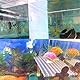 6 Stück Aquarium Trennwand, Aquarium Tank Grid Trennung Brett, Fisch Tank Isolation Divider, Weiß Kunststoff Aquarium Isolation zum Trennen der Fische und zum Schutz Verschiedener Fische vor dem Kampf
