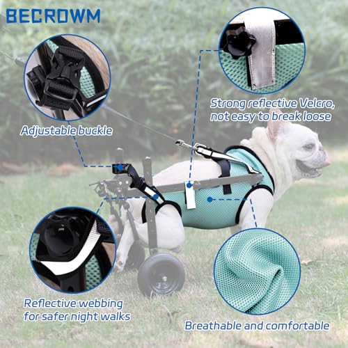 Silla de ruedas ajustable para perros con discapacidad trasera talla pequeña 3