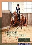  Gesunder Pferderücken: Systematische Übungen und Trainingstipps für jeden Tag