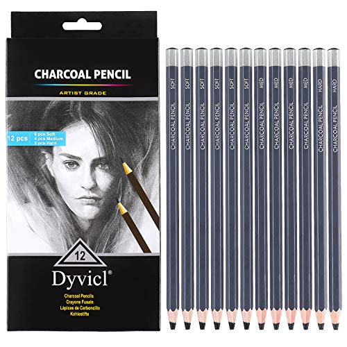 Dyvicl Professional Charcoal Pencils Drawing Set - 12 Pieces Soft, Medium & Hard Charcoal Pencils for Drawing, Sketching, Shading, Artist Pencils for Beginners & Artists