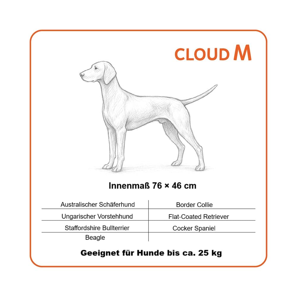 Cuccia ortopedica Cloud - Comodo tappetino per cani con memory foam, fodera rimovibile e fondo antiscivolo, 4 misure (XS - L) e 3 colori (M 100 × 70 cm - verde Mos)
