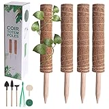 SOPORTE ESTABLE --- Los palos fuertes y afilados facilitan que se peguen al suelo y brindan un fuerte soporte para que las plantas se expandan. El soporte para plantas da a las plantas una fuerte sujeción sin dañar los tallos.