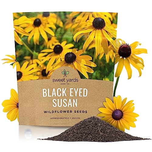 Black Eyed Susan Seeds &ndash; Extra Large Packet &ndash; Over 100,000 Open Pollinated Non-GMO Wildflower...