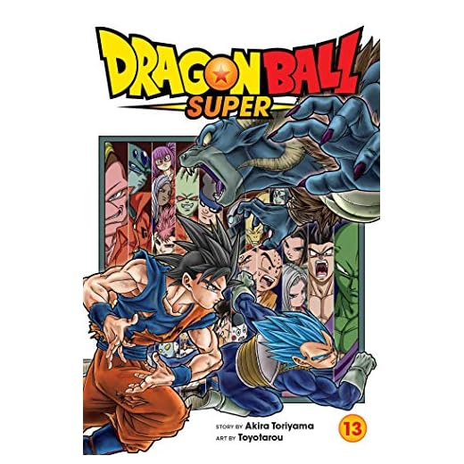 DRAGON BALL SUPER 13