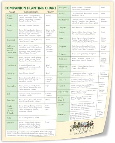 Garden Shed Greenhouse Decor Companion Planting Chart Vegetable Garden Layout