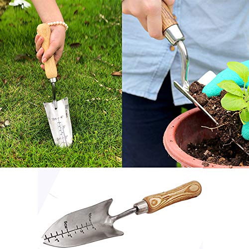 Palita de Jardín Enjoyer Acero Inoxidable Ergonómica miniatura 3