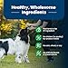 Blue Buffalo Life Protection Formula Adult Dry Dog Food, Helps Build and Maintain Strong Muscles, Made with Natural Ingredients, Lamb & Brown Rice Recipe, 30-lb. Bag