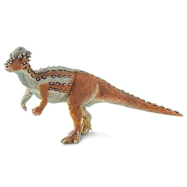 Paquicefalosaurio 20.6cm