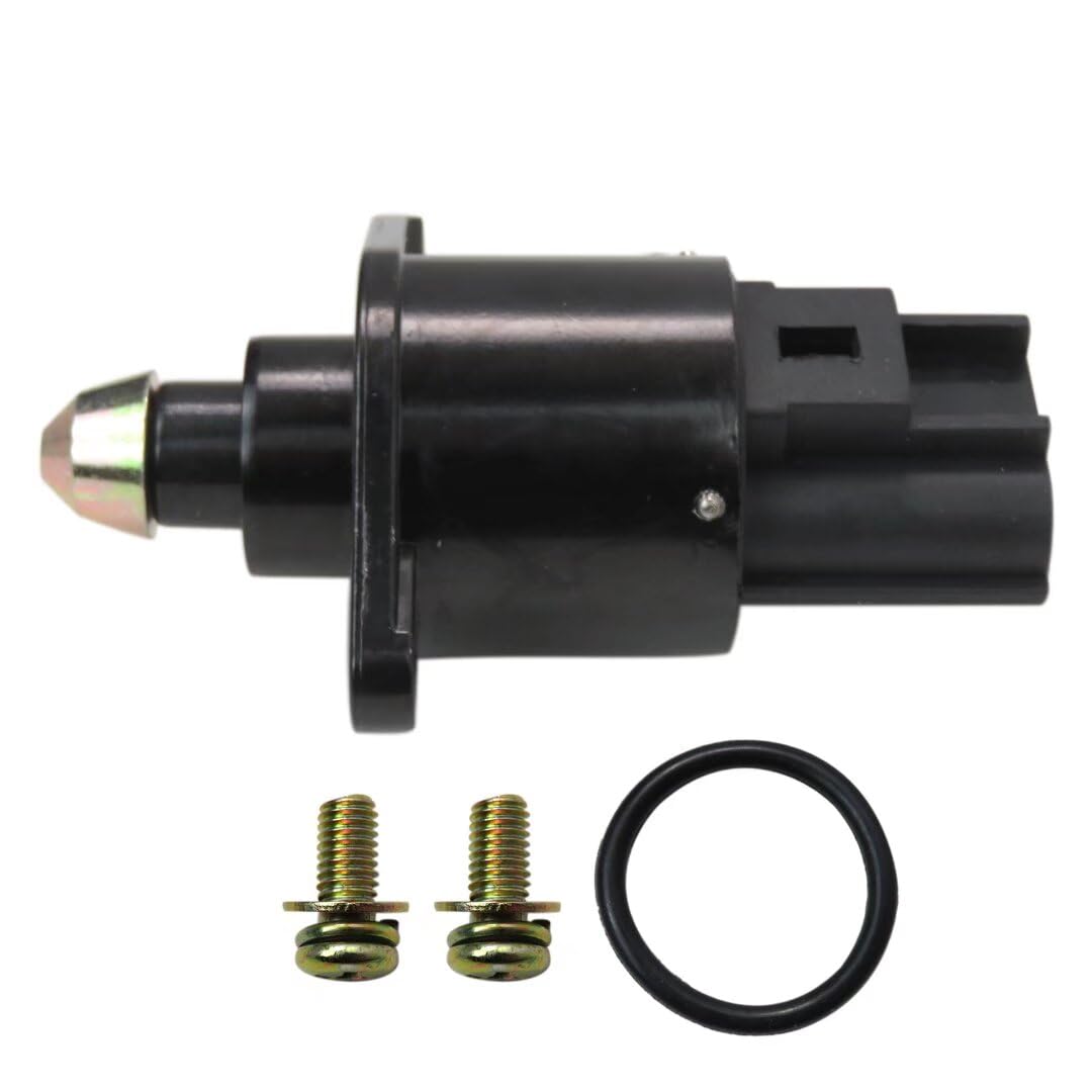 Amazon.com: 4874373 4874373AB AC176 Idle Air Control Valve fit for