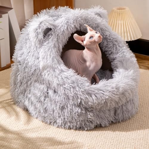 ӂӂ ybgxbh, g I[V[Y Lp pxbh, ^ L K h[^ nEX, ʂݑf (O[, M)