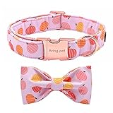 ARING PET Bowtie Dog Collar,Dog Collar with Removable Bow,Adjustable Halloween Pink Pumpkin Dog Collar.