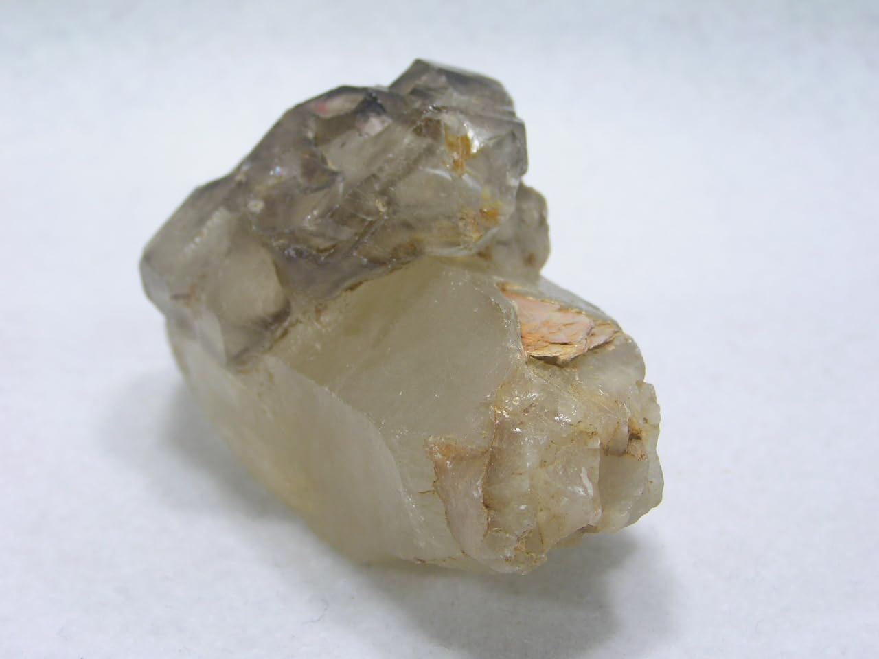 Amazon.co.jp: 天然石 アリゲータークォーツの原石 （水入り水晶