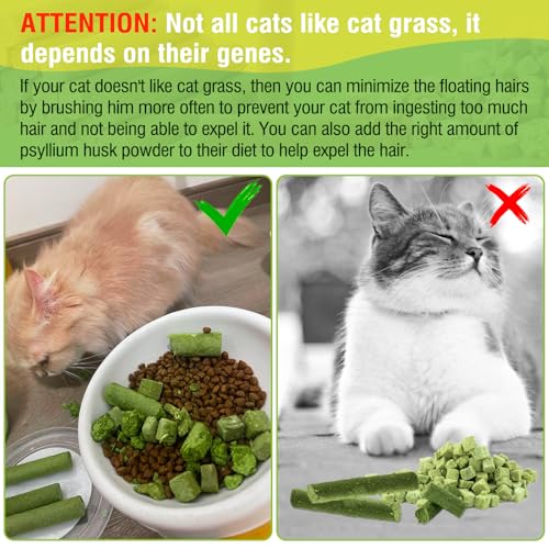Hkpetie 30G Cat Grass Teething Stick, Delicious Cat Treat Snack Edible Cat Chew Toy For Teeth Cleaning And Hairball Removal In Cats thumb #4