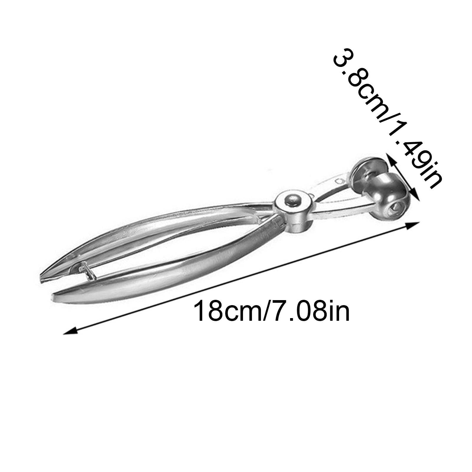 Dénoyauteur à Olives & Cerises En Aluminium Chromé – Outil à Main Avec Ressort Ergonomique Outil Dénoyauter Cerises