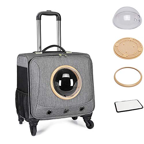 Mochila transportadora para Mascotas aprobada por la