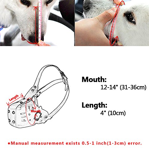 Pet Artist - Museruola per cani in pelle per cani