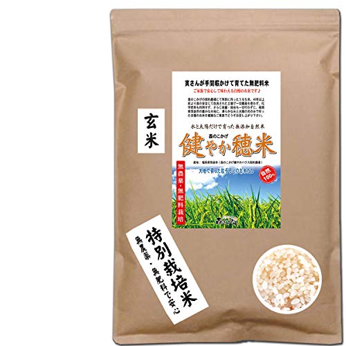 森のこかげ 健やか穂米 1kg 無農薬 無肥料米 福岡県産 筑後市