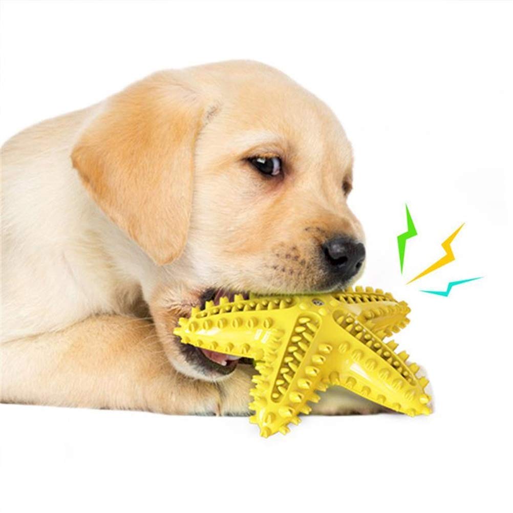MU Starfish a Forma Di Animale Domestico Denti Denti Denti Ello Masticare Giocattolo Denti Denti Denti Rosicchianti Denti Puliti Osso Cane Denti Spazzolino da Denti da Masticare Gomma da Masticare Fo