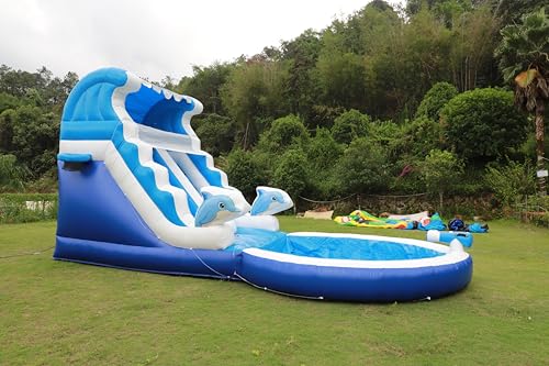Commercial Inflatable Water Slide for Big Kids: Dolphin Style