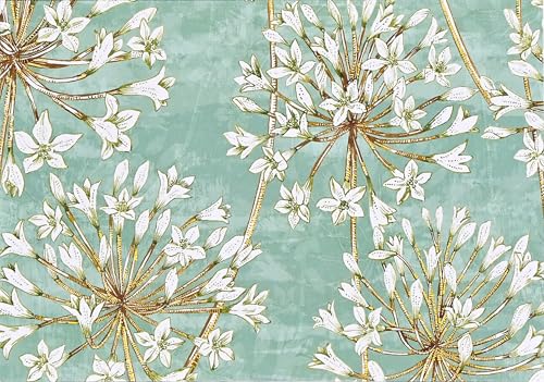 Allium Blossoms Note Cards (14 cards, 15 self-sealing envelopes)