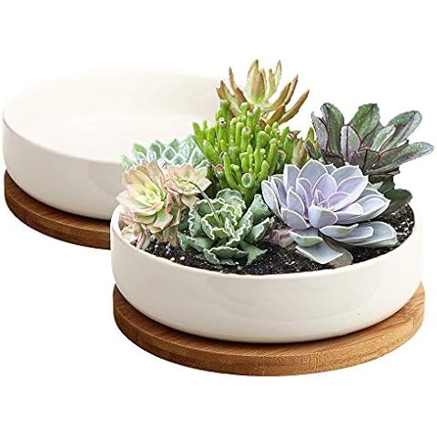 ZOUTOG 6-inch White Ceramic Flower Planter Pot with Bamboo Tray (Pack of 2) Cover