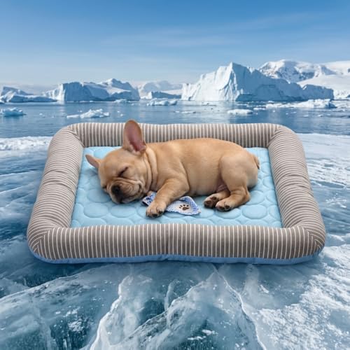 Cama refrescante para perros grandes, medianos y pequeños, tapete de enfriamiento transpirable con tela de seda helada autoenfriable, cama de verano lavable para mascotas para interiores y exteriores