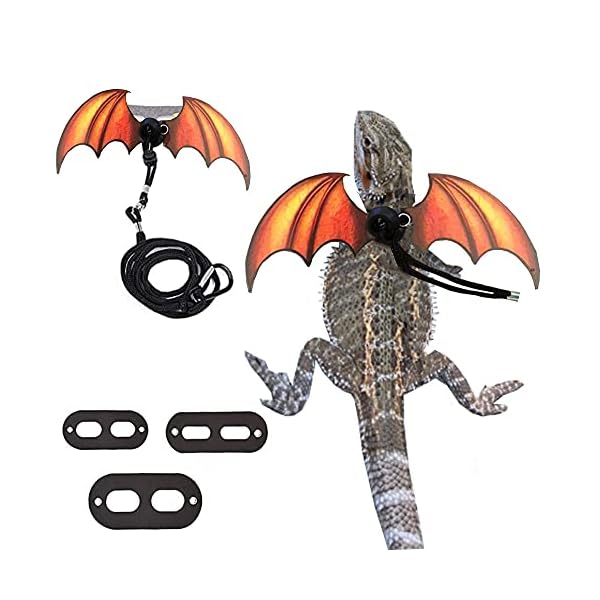 Bearded dragon lizard leash harness - adjustable dinosaur wing lizard cool leather wings safety walking leash (s,m,l,3pack)