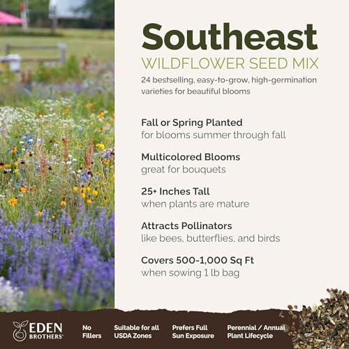 Eden Brothers Southeast Wildflower Mixed Seeds for Planting, 1 lb, 480,000+ Seeds with Cornflower, Blanket Flower | Attracts Pollinators, Plant in Spring or Fall, Zones 3, 4, 5, 6, 7, 8, 9, 10 by Eden Brothers - Image 2
