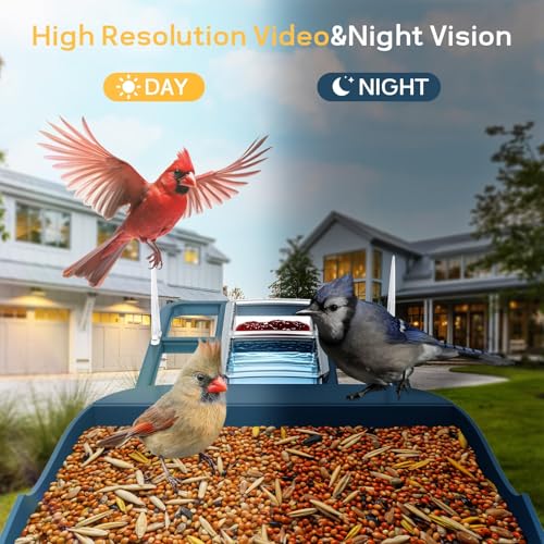 Bird Feeder with Camera,WiFi Outdoor Smart Bird Feeder Camera with Built-in AI Birds Recognition,Solar Powered,Auto Record Video by Cloud Storage,FHD Birds House with Cam,Ideal Gift for Dad and Mom by Fazoxo - Image 6