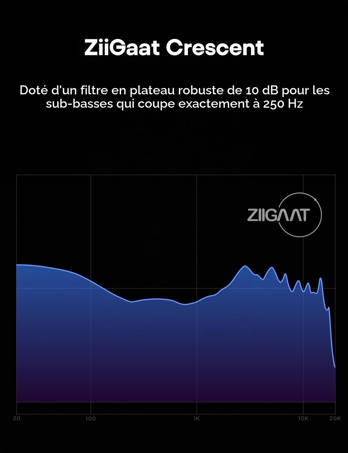 Linsoul ZiiGaat Crescent Moniteur Intra-auriculaire, Premium Écouteurs IEM | Hybrides 2DD+2BA, Basse isobare, Son analogique Vintage, Coque en résine imprimée en 3D pour Musiciens/Studio